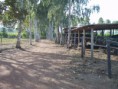 /album/condominio-de-chacaras-s%c3%a3o-matheus/imag0073-jpg/