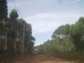 /album/condominio-de-chacaras-s%c3%a3o-matheus/imag0085-jpg/