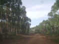/album/condominio-de-chacaras-s%c3%a3o-matheus/imag0086-jpg/