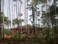 /album/condominio-de-chacaras-s%c3%a3o-matheus/imag0087-jpg/