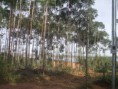 /album/condominio-de-chacaras-s%c3%a3o-matheus/imag0088-jpg/