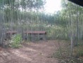 /album/condominio-de-chacaras-s%c3%a3o-matheus/imag0089-jpg/