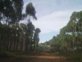 /album/condominio-de-chacaras-s%c3%a3o-matheus/imag0090-jpg/