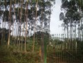 /album/condominio-de-chacaras-s%c3%a3o-matheus/imag0092-jpg/